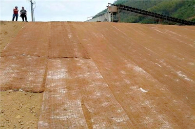 锡林郭勒盟生态植被毯价格指导施工